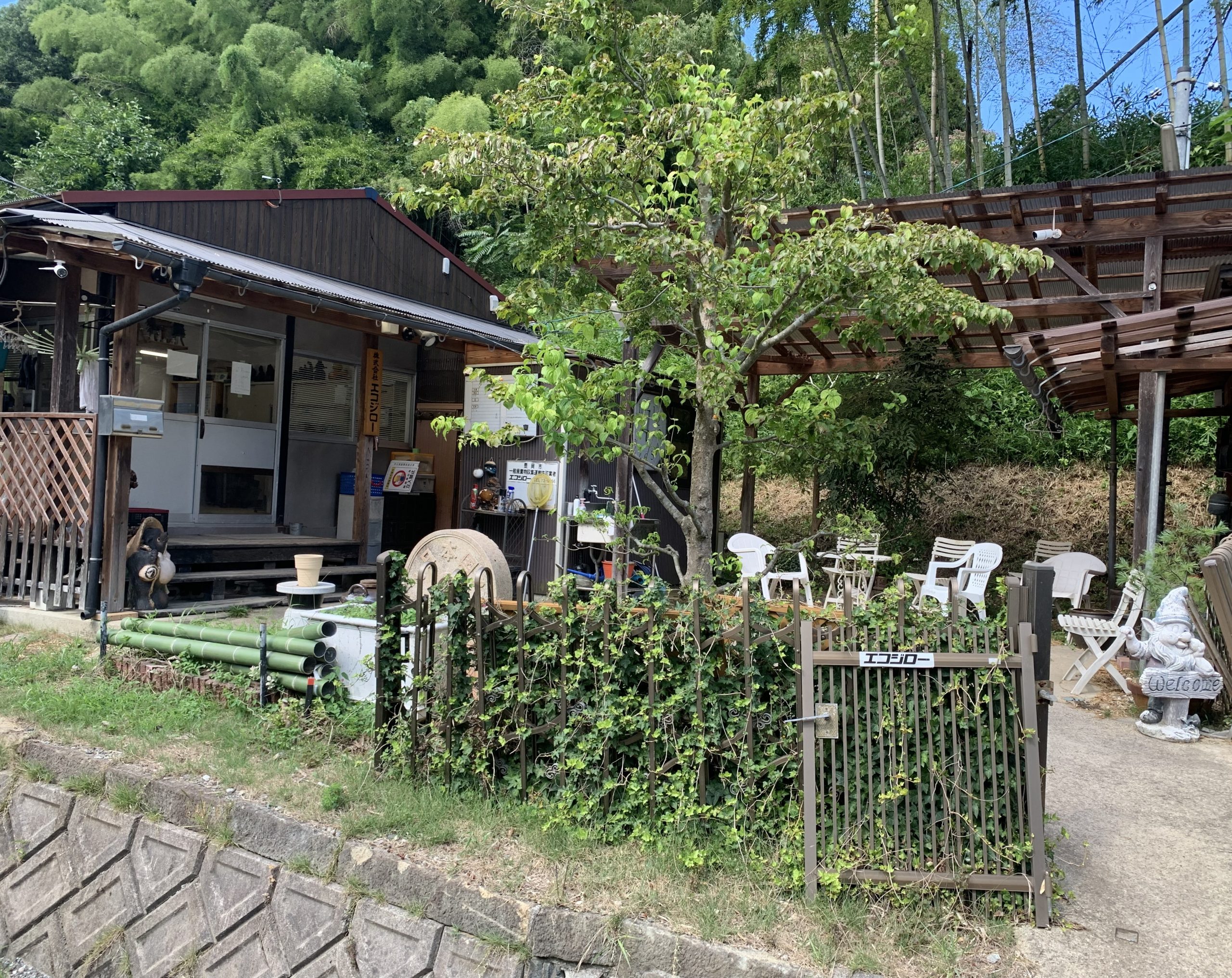 img_7927-%e3%82%a8%e3%82%b3%e3%82%b8%e3%83%ad%e3%83%bc