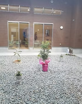 02